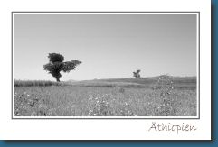 Postkarte Ethiopia 2.jpg